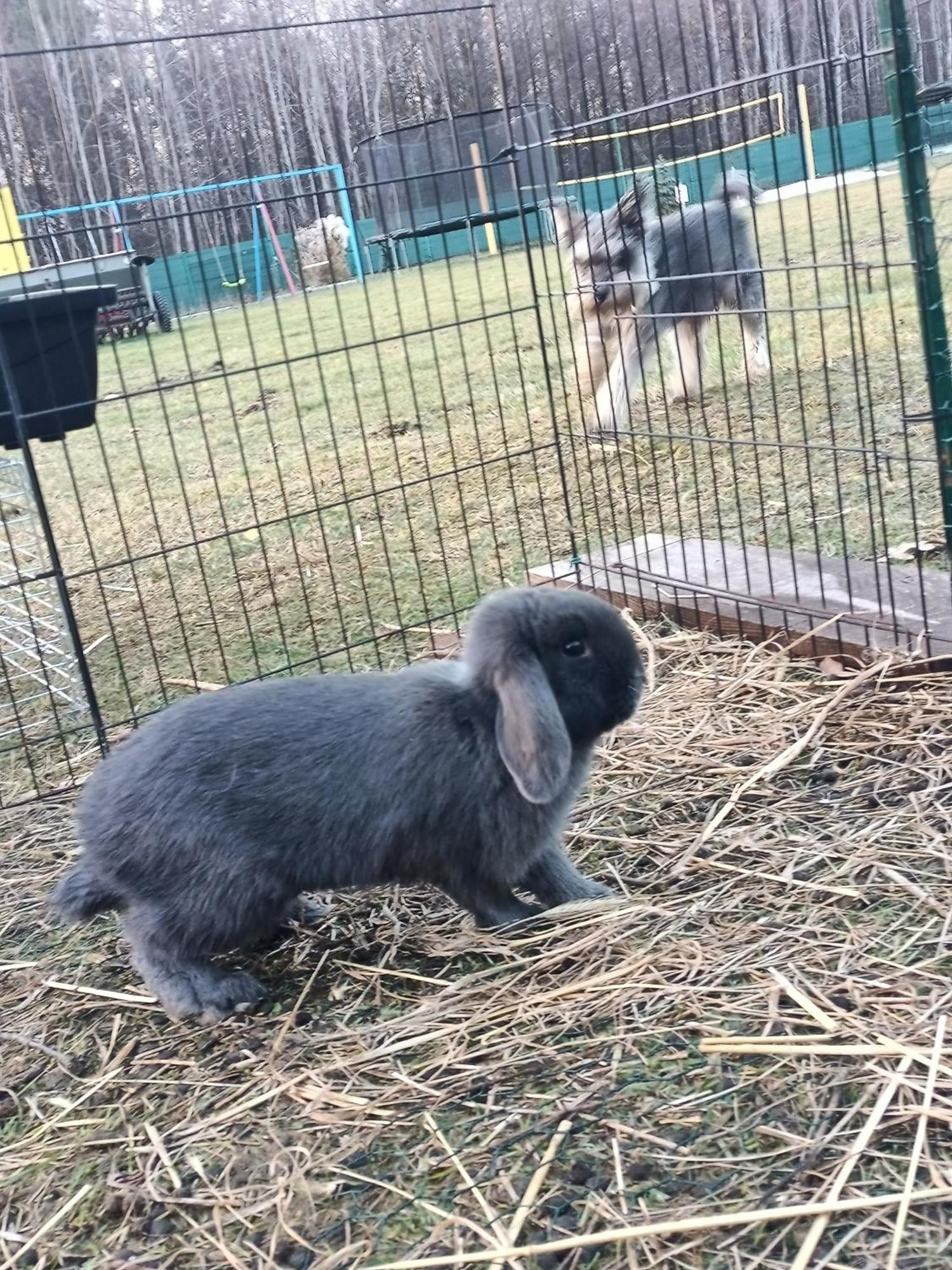 Letnia Oaza "Akacja" Appartement Sobienie Jeziory Buitenkant foto
